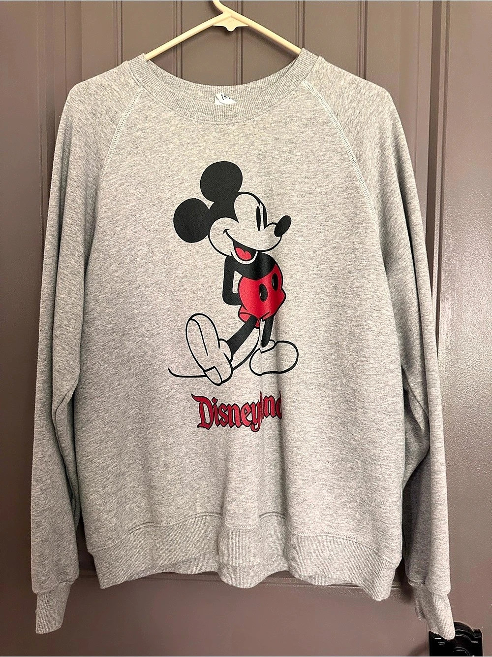 Disney Mickey Mouse Standing Disneyland Sweatshirt for Adults Gray & Red Large